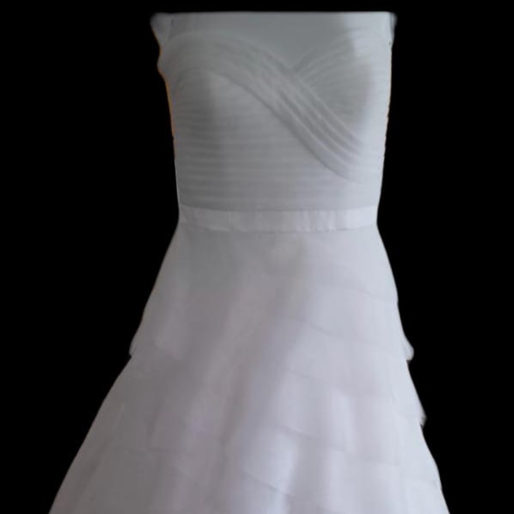 Wedding Dress - Picture 3 of 4